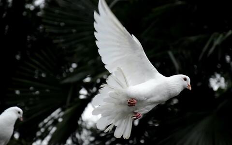 Avanza la causa de canonización del Cura Brochero